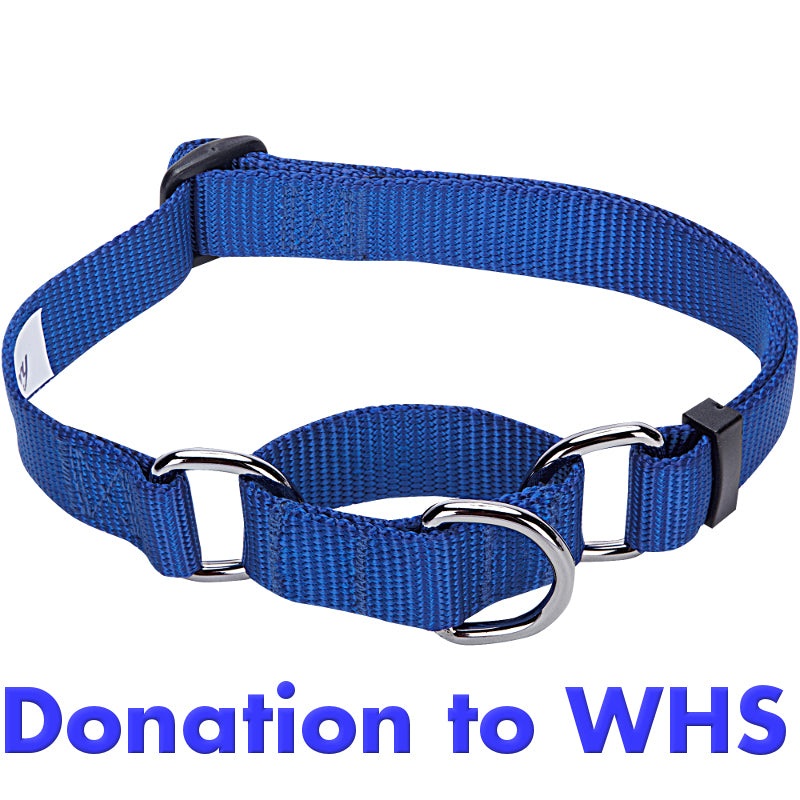 DONATE a Dog Collar or Leash to the Wisconsin Humane Society! Collar
