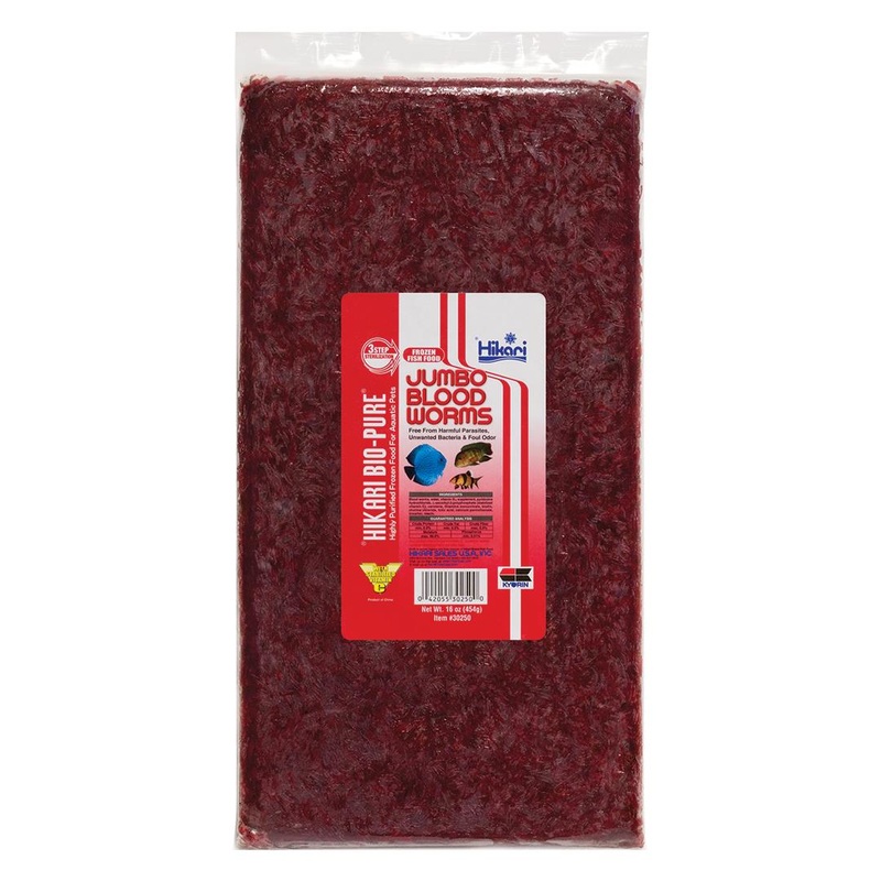 Jumbo Blood Worms 16 oz