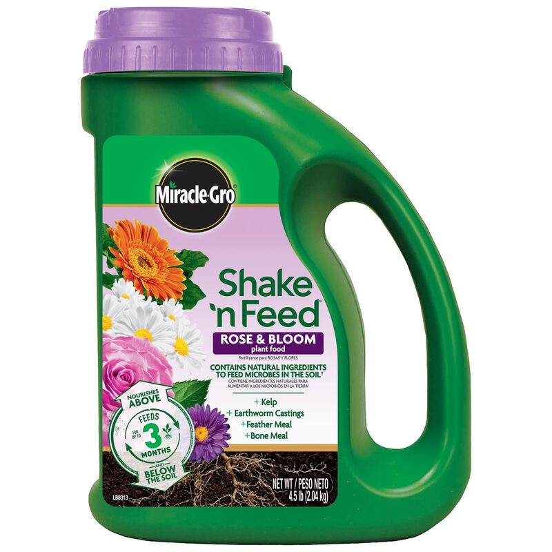 Miracle-Gro Shake ‘N Feed Rose & Bloom Plant Food 4.5 Lb. 4.5 Lb.