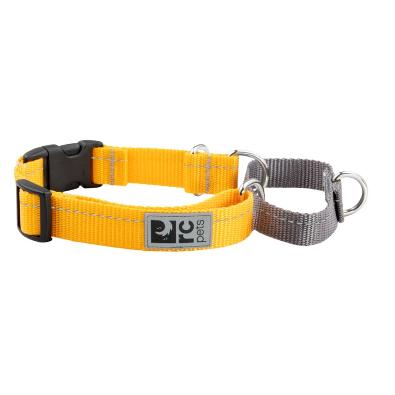 RC PETS Dog Primary Web Training Clip Collar, Marigold, M, 1″/ 14″-19″