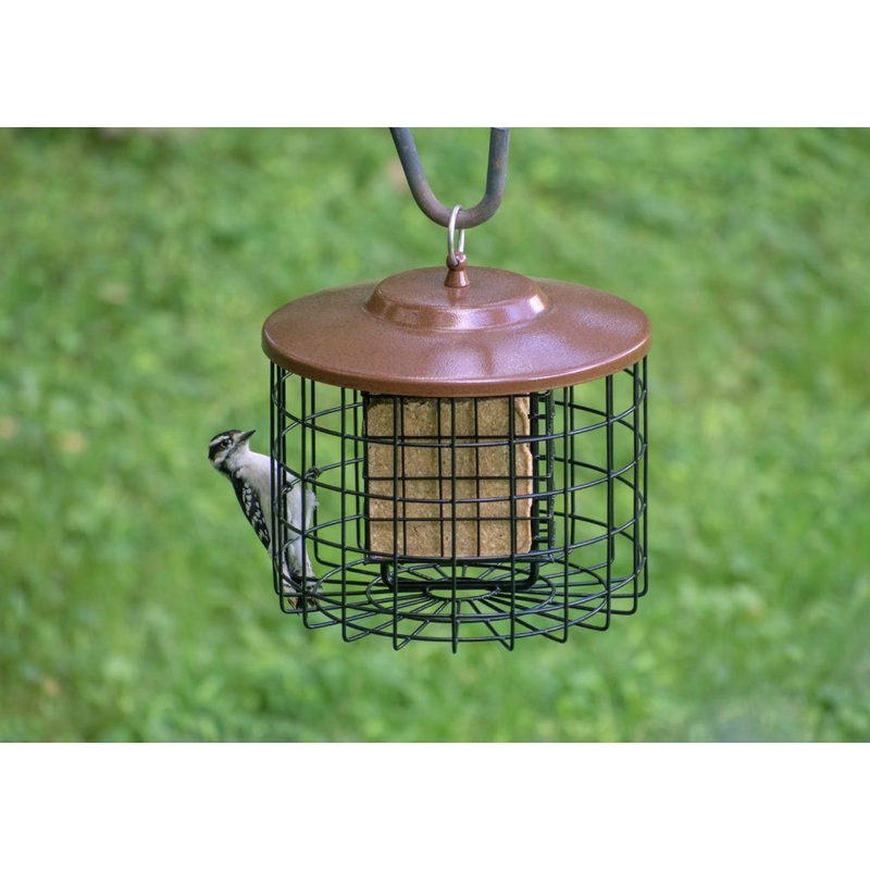 Squirrel-X Double Suet Cage Squirrel-Proof Bird Feeder, 2 suet cake capacity Double