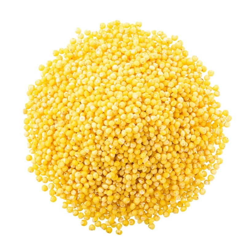 Duncraft Hulled Millet Wild Bird Seed, 10-lb bag