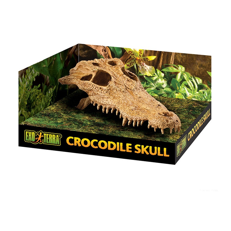 Exo Terra Crocodile Skull Medium