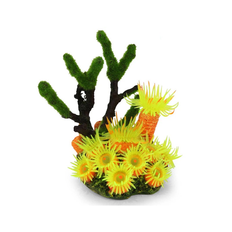 Kazoo – Soft Coral W/Textured Moss Mini
