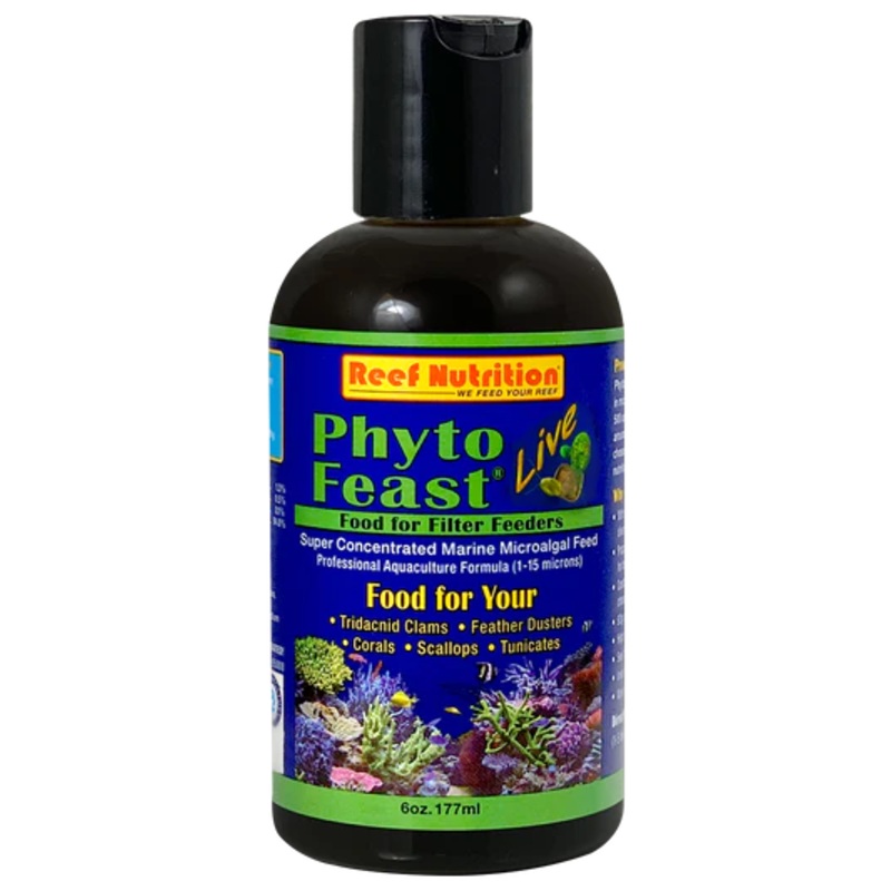Phyto Feast LIVE 6oz