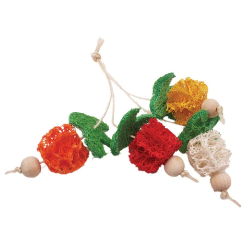 Nibbles Loofah Bunch of Fruits Small Animal Chew Toys 3 Pack