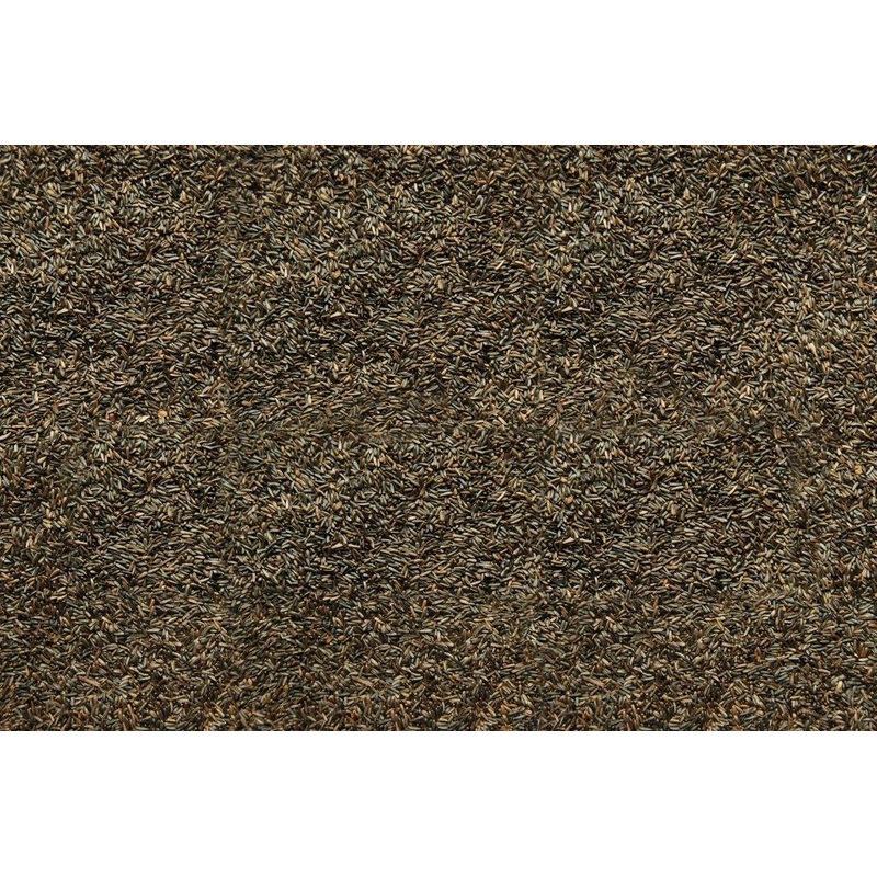 Song of America Nyjer Seed 5 Lb
