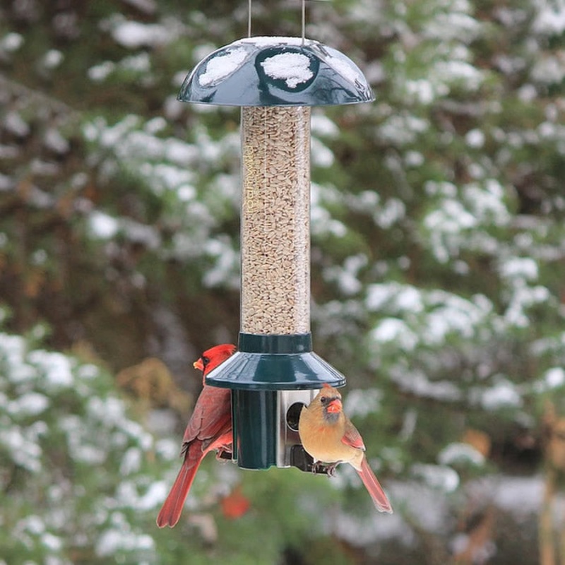 PestOff Squirrel Proof Green Metal Mixed Seed/Sunflower Feeder