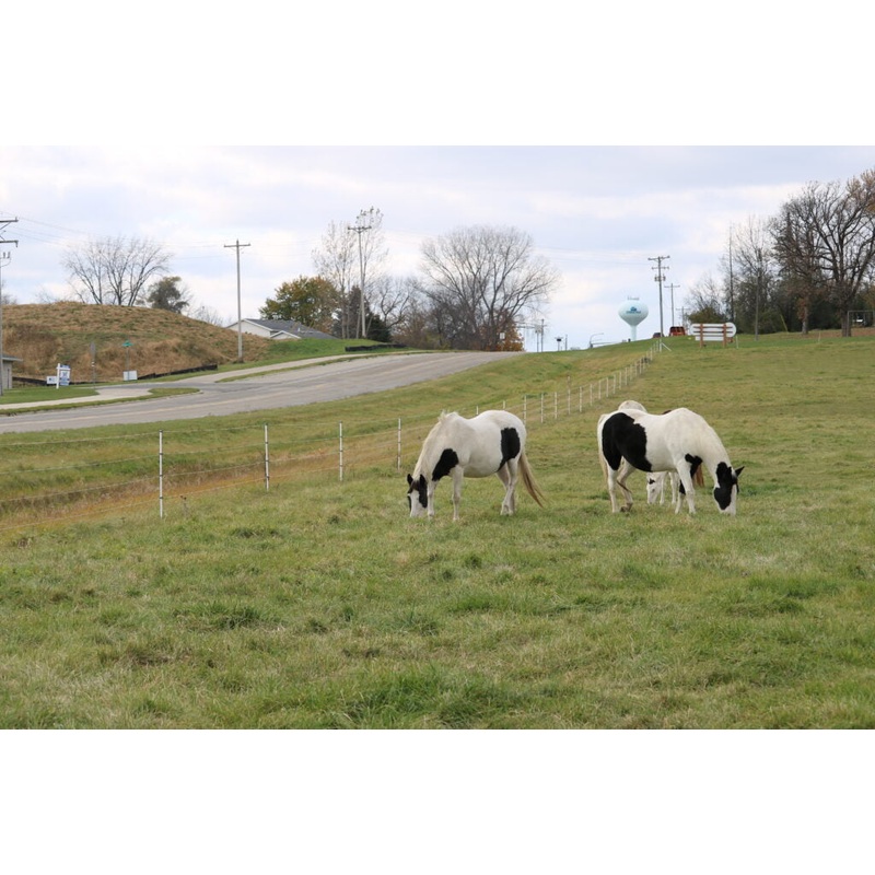 Geotek SunGUARD II Fence Posts Fiberglass Fence Posts for Electric Fence Systems