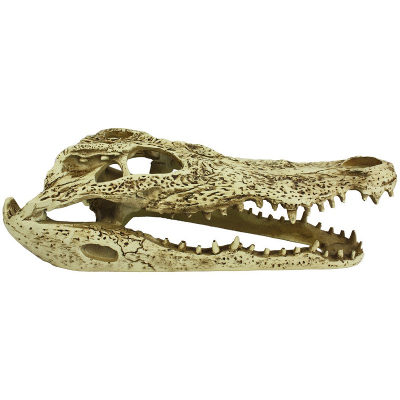 Komodo Alligator Skull Hideout 9 inch