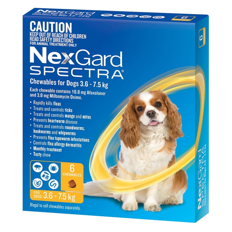 NEXGARD SPECTRA FOR DOGS 3.6-7.5KG YELLOW 3 PACK