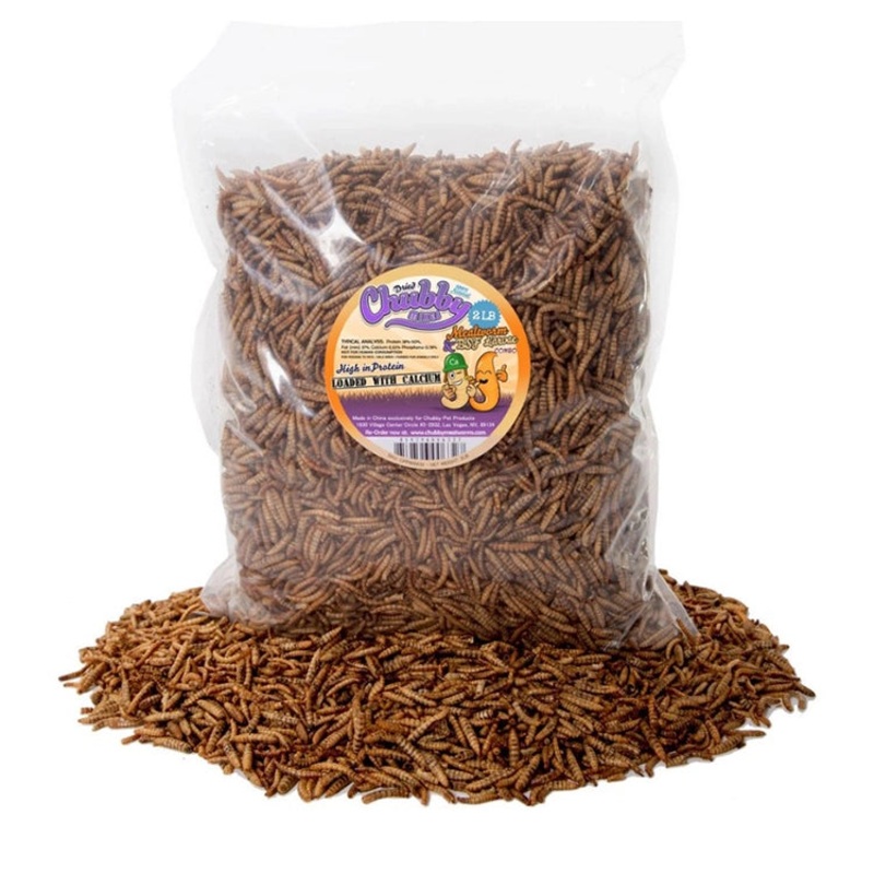 Chubby Mix Mealworm & Black Soldier Fly Larvae, 2-lb Bag