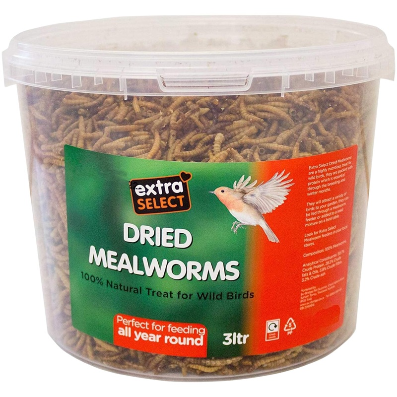 Extra Select MealWorms Wild Bird Food Tub 1L
