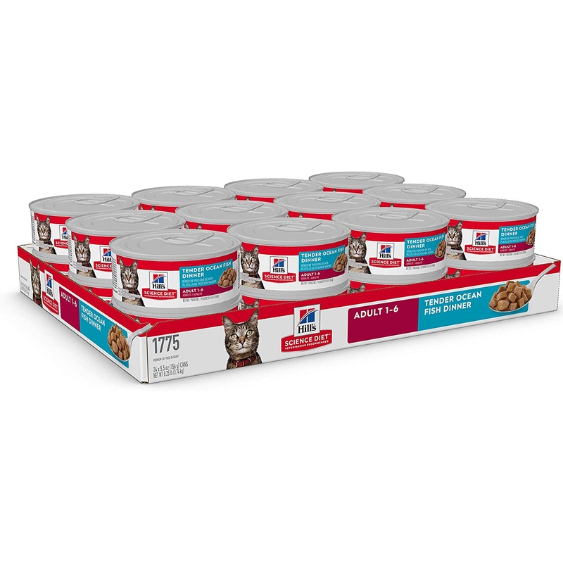 Science Diet Adult Tender Ocean Fish Dinner Cat Food Single 5.5oz