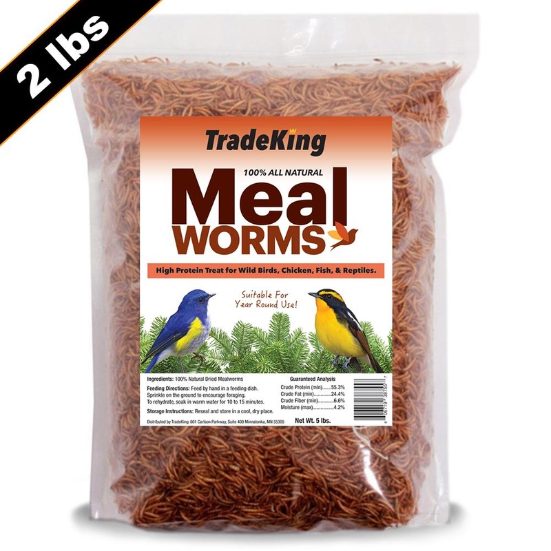 TradeKing Dried Mealworms 5 Lbs