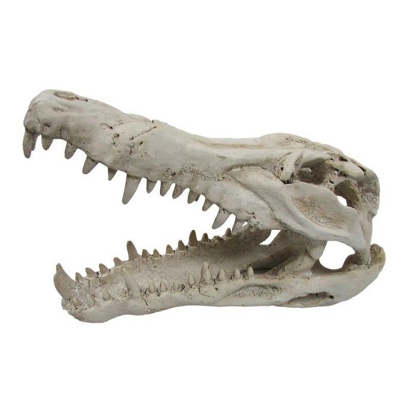 URS Ornament Crocodile Skull Medium
