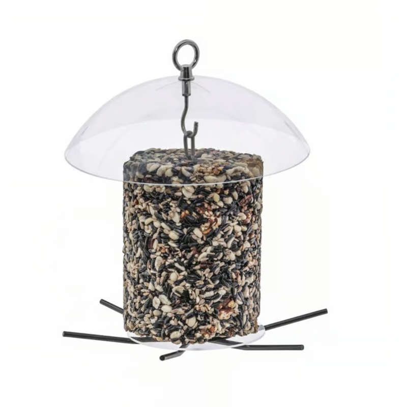 SEED CYLINDER FEEDER WITH DOME