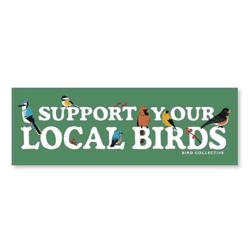 Bird Collective Backyard Birds Bumper Sticker