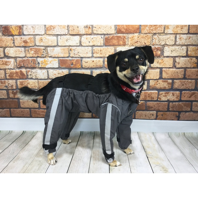 Body Guard Pants | FouFou Dog XS RED