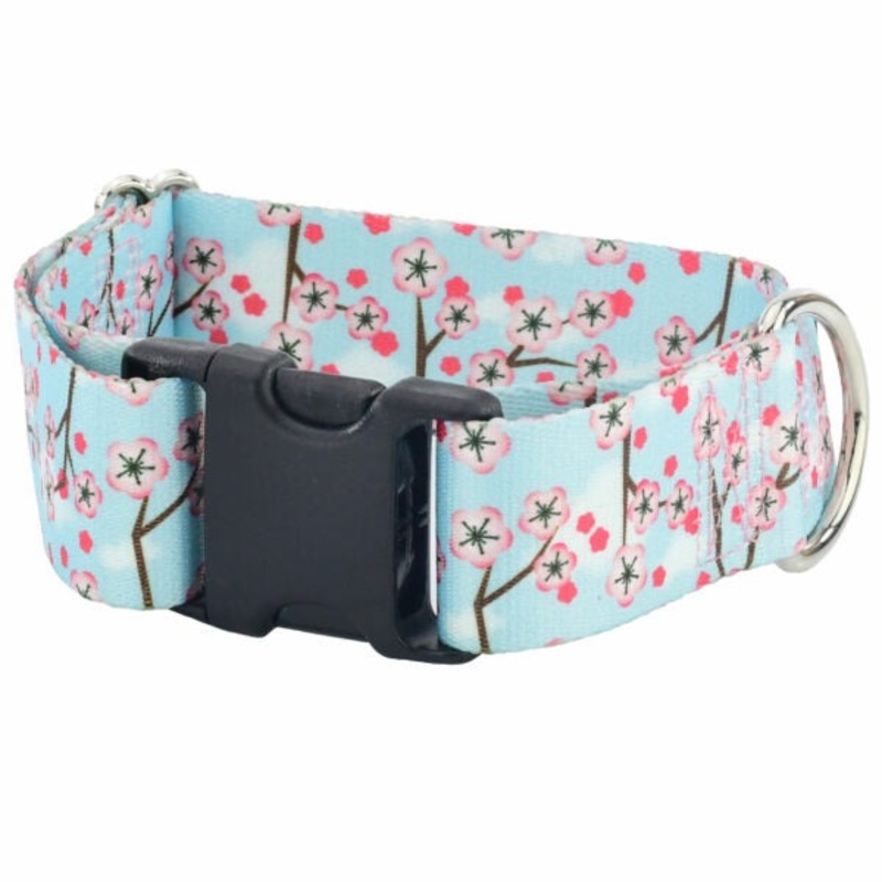 2 Hounds Design Cherry Blossoms Dog Collar Large 1.5″
