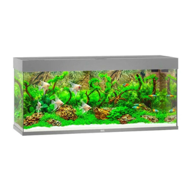 JUWEL RIO 240 LED AQUARIUM ONLY – (GRAY)