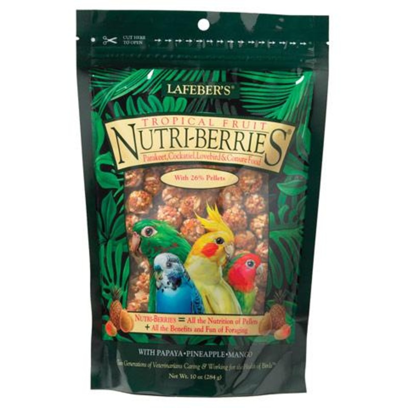 Lafeber’s Tropical Fruit Nutri-Berries Cockatiel Food 10 oz