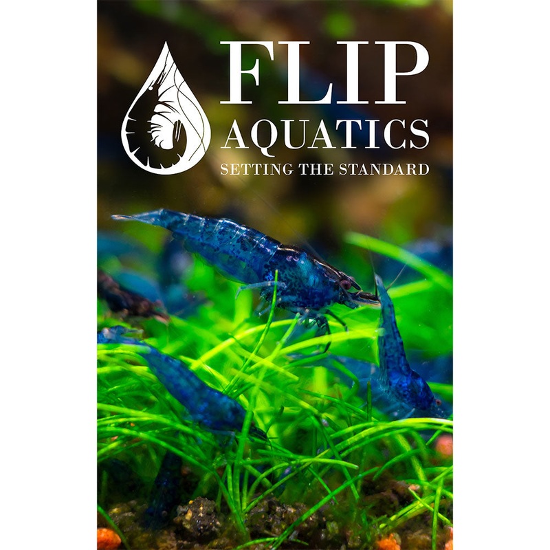 Flip Aquatics Posters and Stickers Flip Aquatics Poster 1 Pack