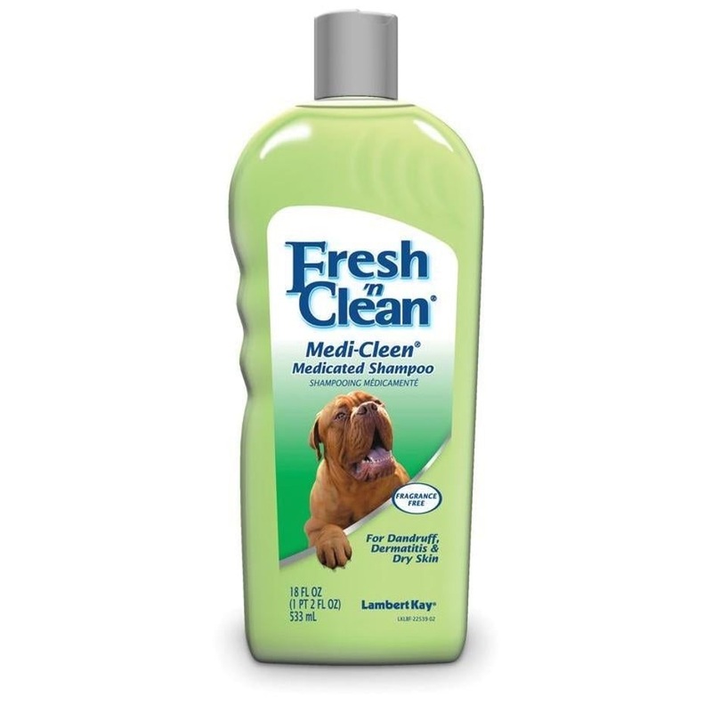 FRESH ‘N CLEAN MEDICATED SHAMPOO
