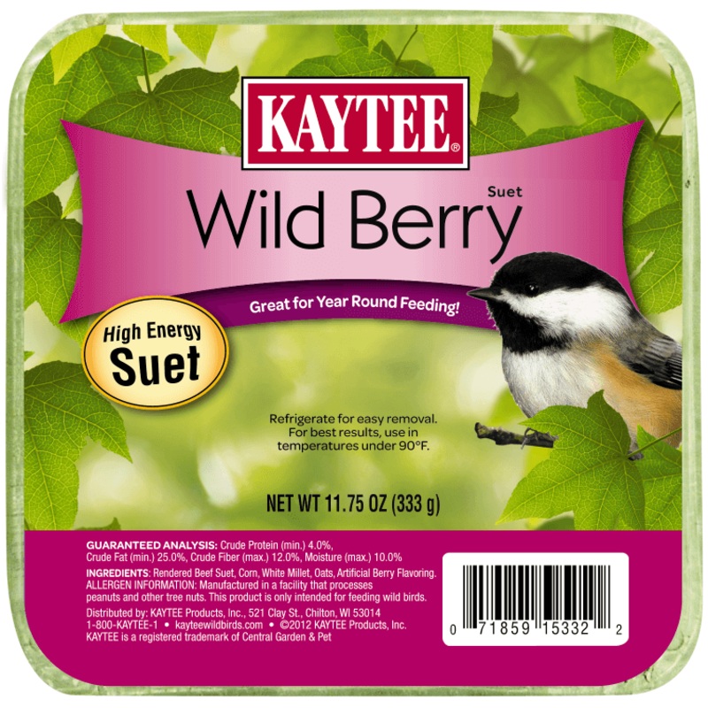 Kaytee Wild Berry Suet (11.75 Oz)