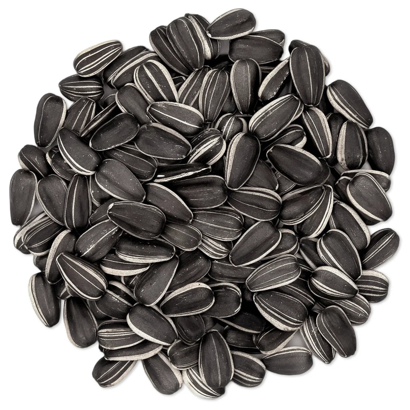 Striped Sunflower Wild Bird Seed, 5-lb bag