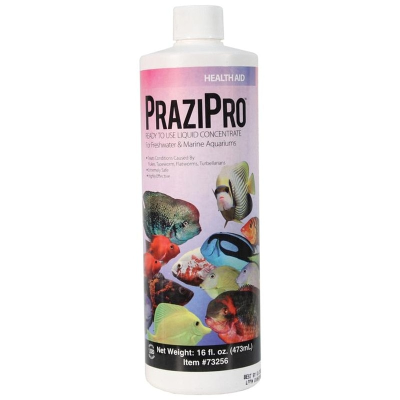 AQUARIUM SOLUTIONS PRAZIPRO 16 OZ