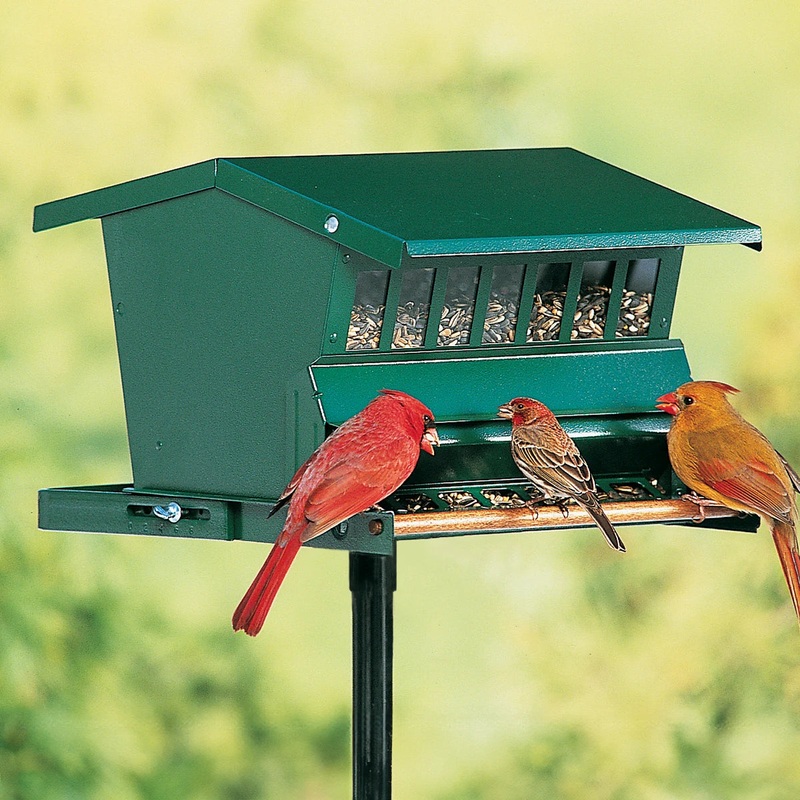 Original Absolute Bird Feeder