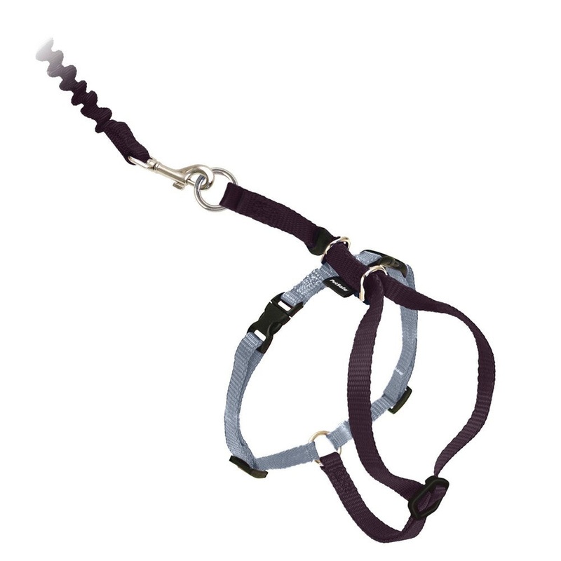 PetSafe Come With Me Kitty Harness and Bungee Leash  Large  Black