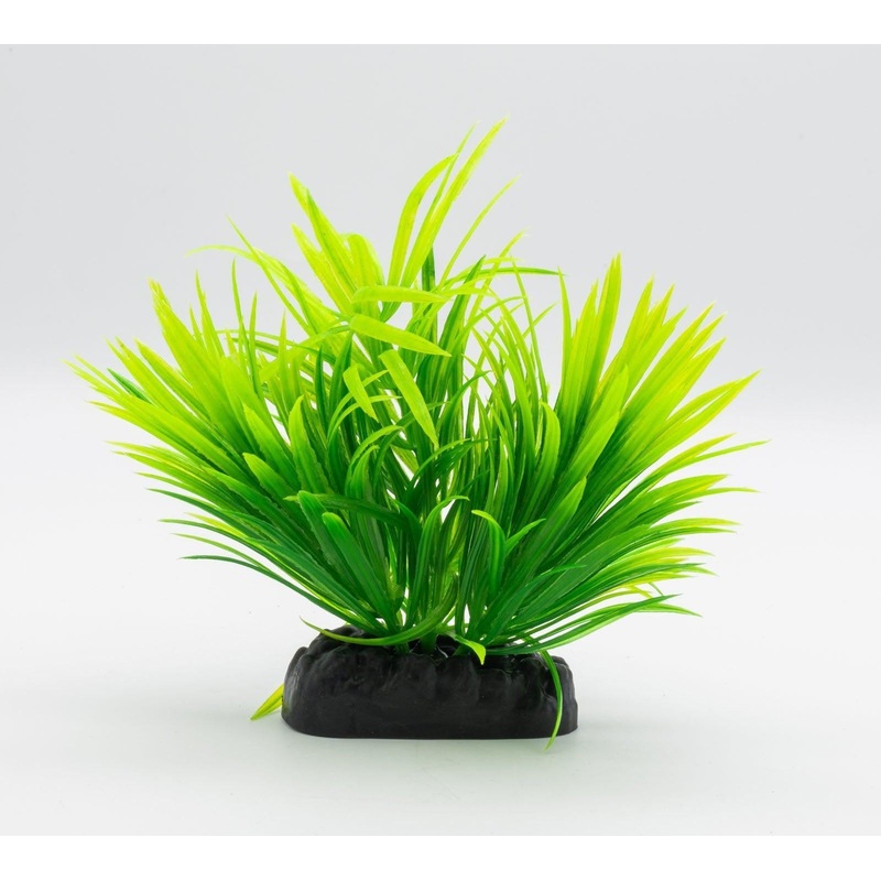 AquaSpectra Helanthium Plant, 10cm Blue