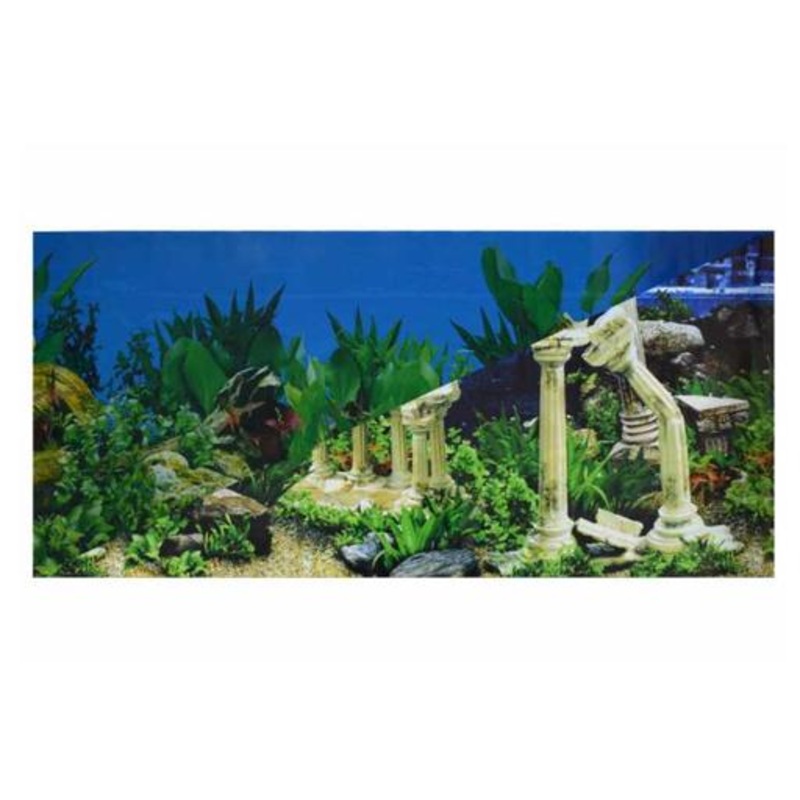 Boyu Plastic Double Sides Background Paper  15m[Length – 60cm]