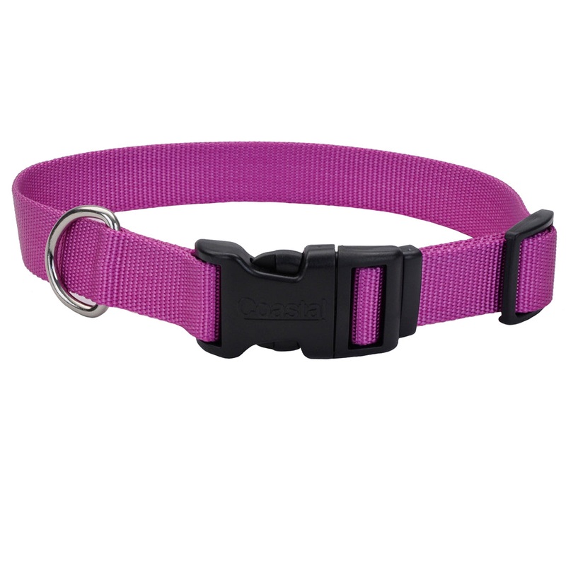 Coastal Adjustable Dog Collar Tuff Orchid XS 8-12 inch