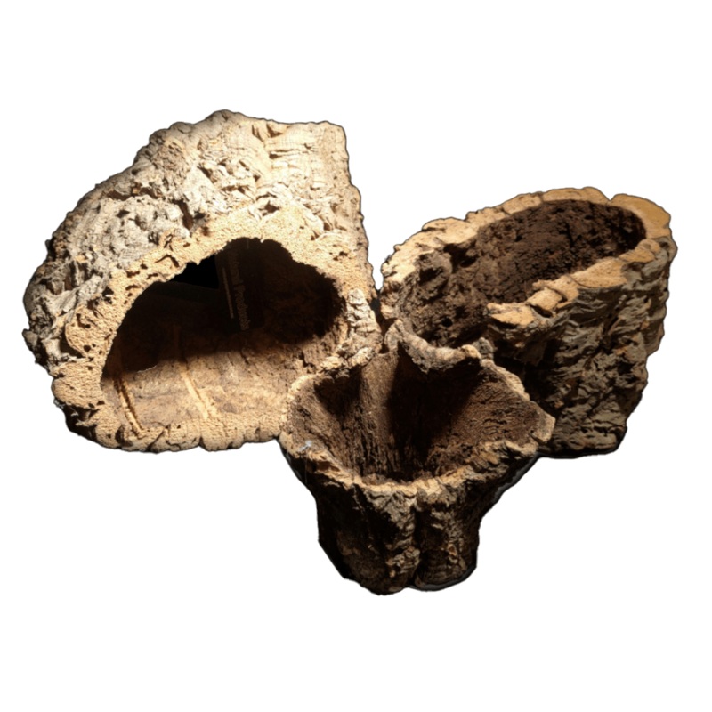 Cork Bark Background Sheet