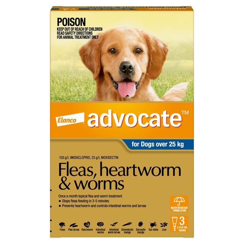 Advocate – Dog over 25kg (3pk) 3pk