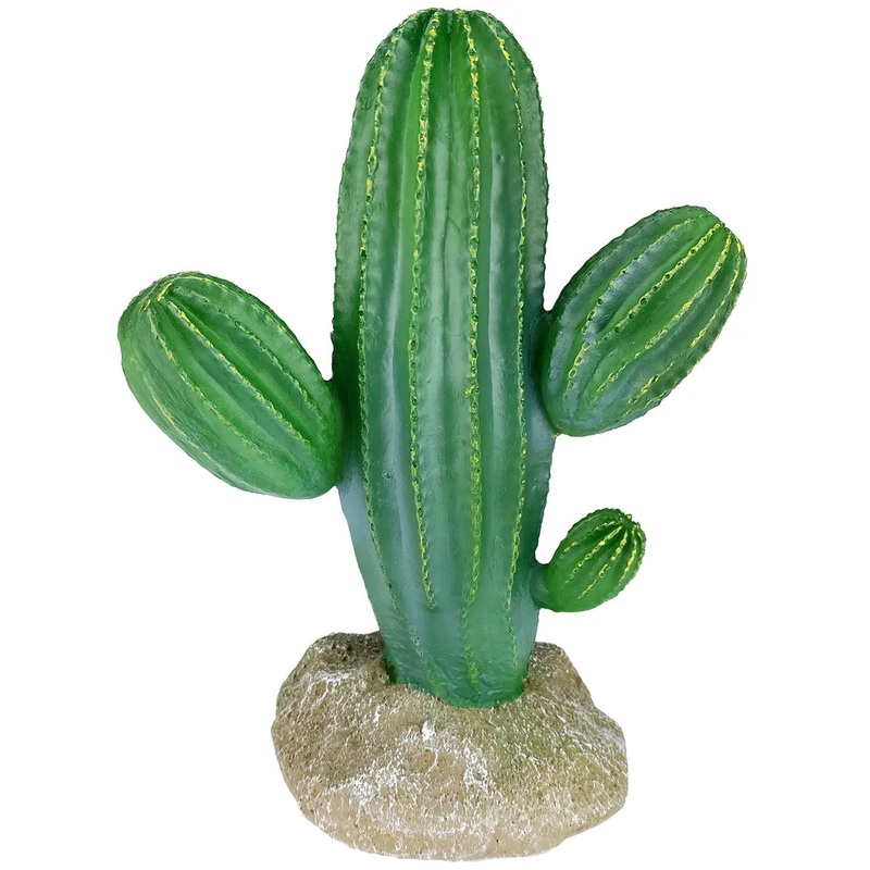 Komodo Saguaro Cactus