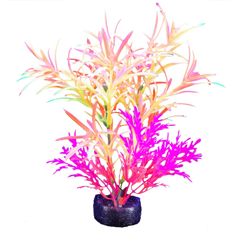 Marina iGlo Plant 5.5″/14 cm GPP-0914