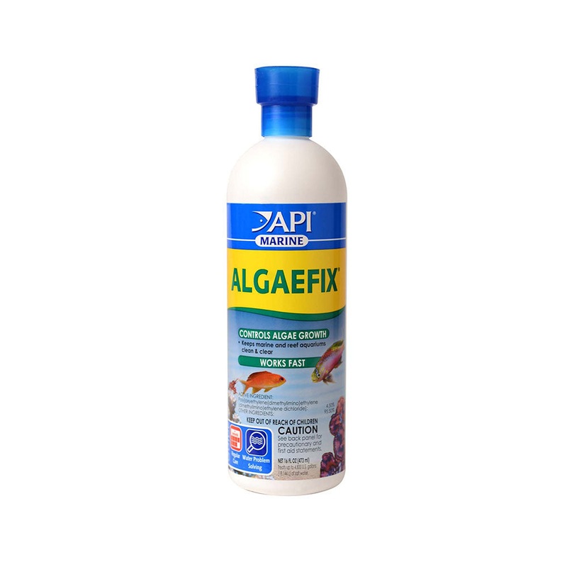 API Marine Algaefix 16 Oz