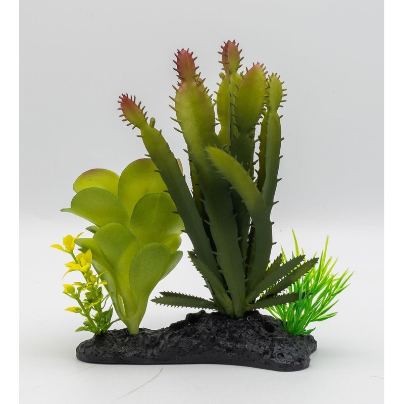 ProRep Euphorbia Plant on Log, 15cm