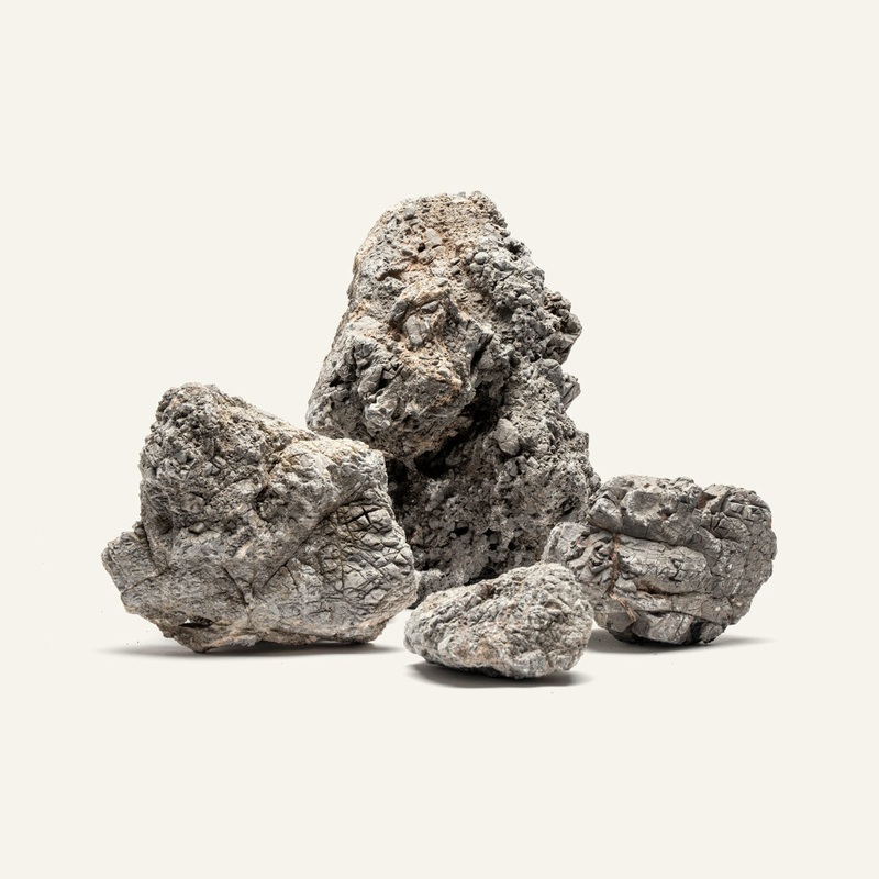 Wolf Stone 5LB