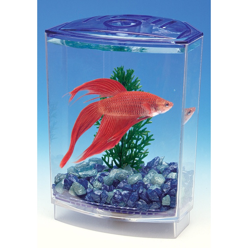 Penn Plax Betta Bowl Front Tank