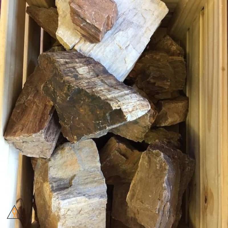 Petrified Wood – ALA per pound