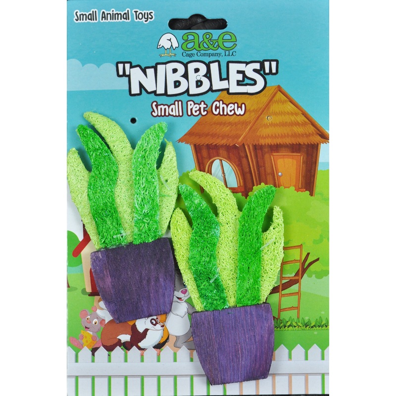 A&E Nibbles Loofah Potted Plant Chews