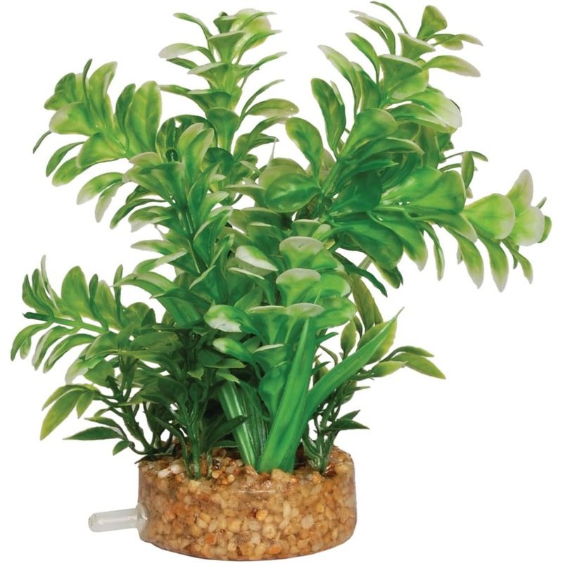 Aqua Spectra Plant with Airstone Base 6cm(base)x13cm AQ18212