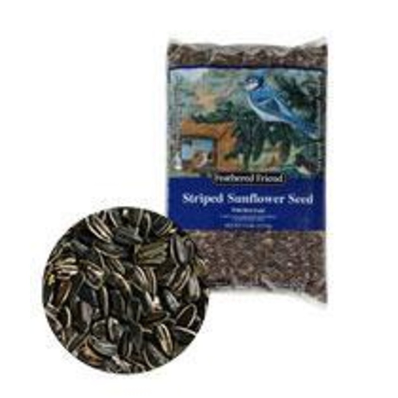 Feathered Friend Grey Striped Sunflower Seed