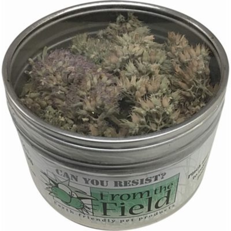 From the Field Organic Catnip Buds – 5oz Tub