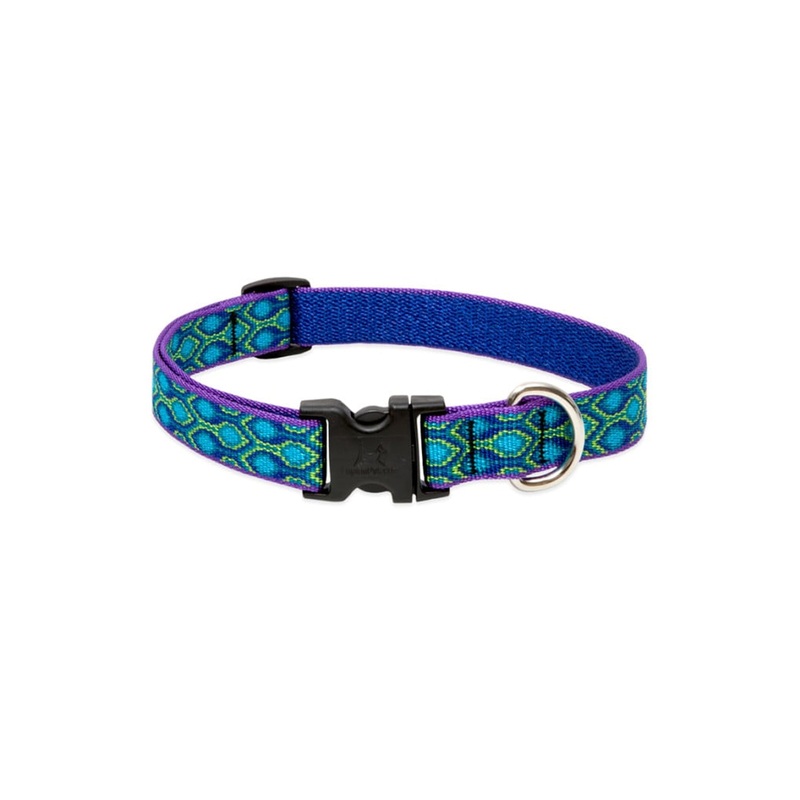 LupinePet Originals Rain Song Dog Collar 8″ to 12″